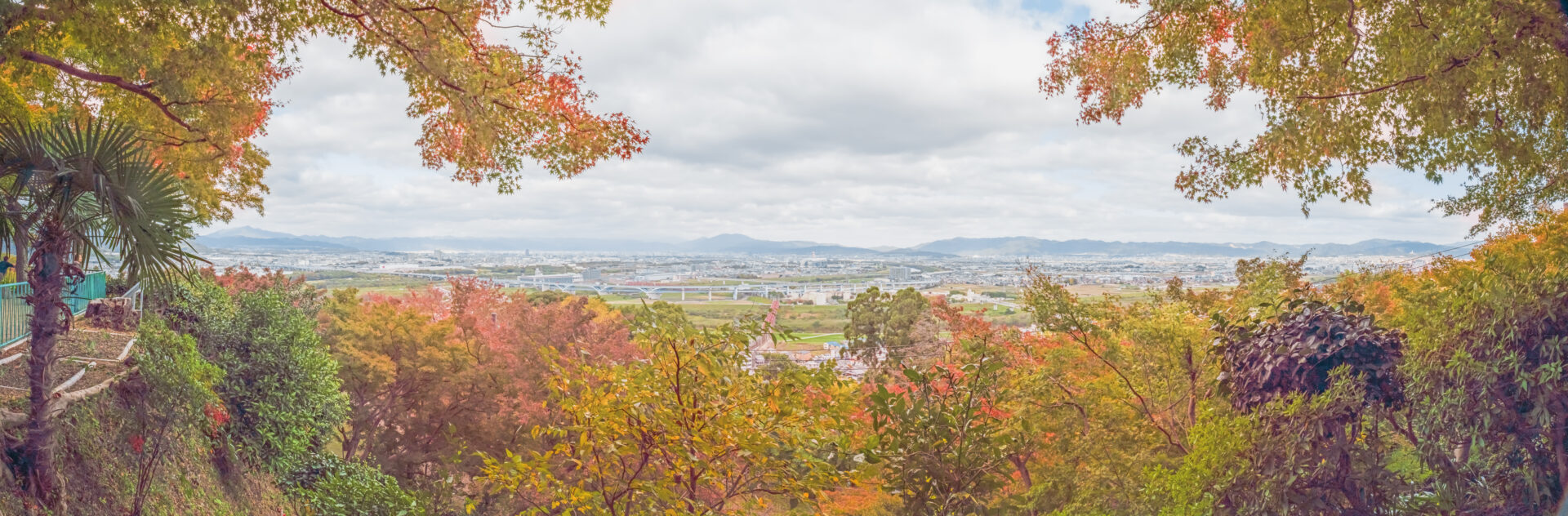 京都 男山展望台からの眺望