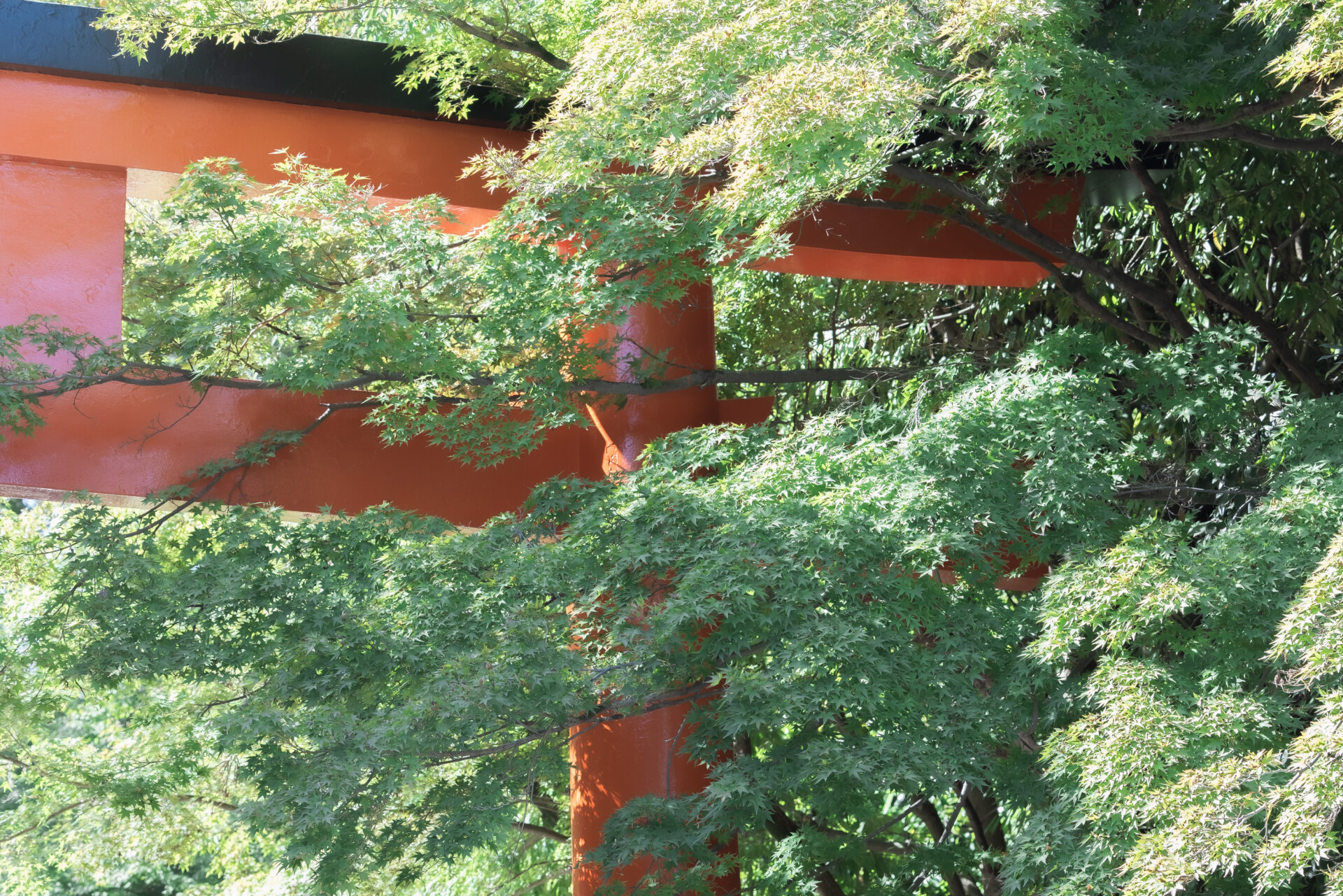 下鴨神社